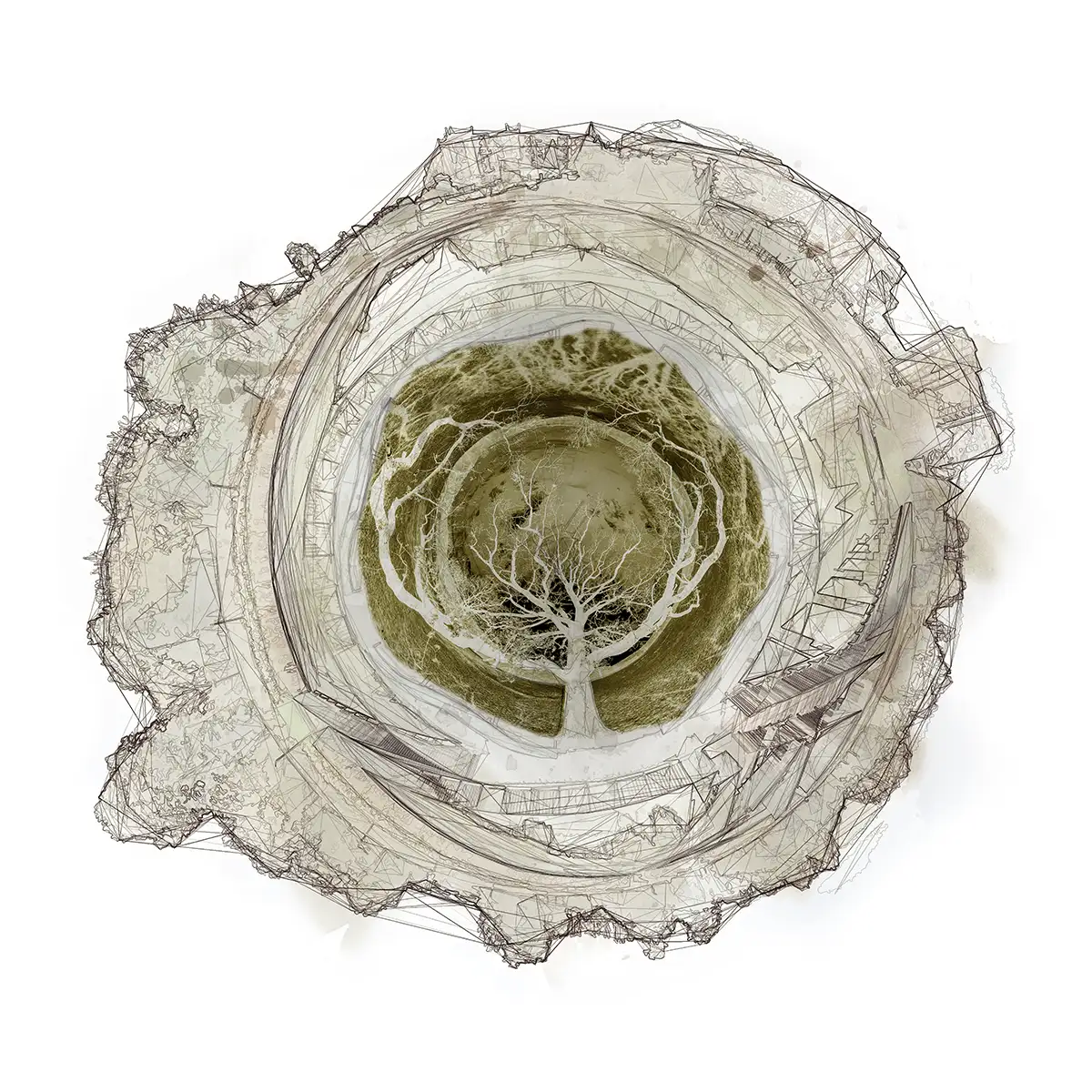 Organikus emlékezet | c-print / digitális nyomat, 70×70 cm / 2026 - Toró Attila